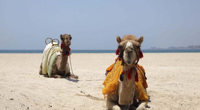 From Paris to Prague with Avalon Waterways